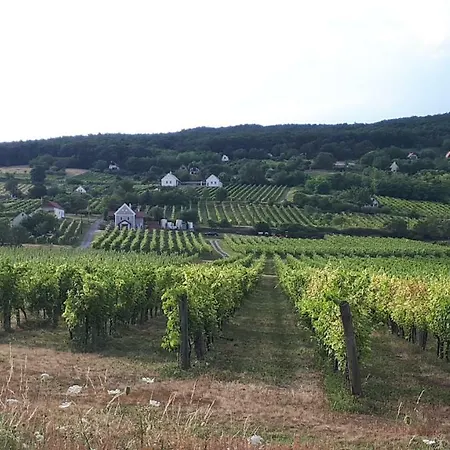 Dom wakacyjny Kali 120