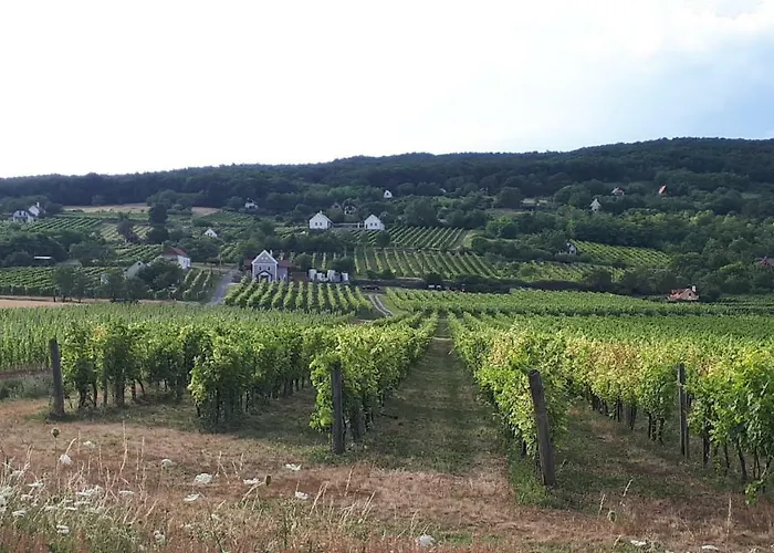 Dom wakacyjny Kali 120